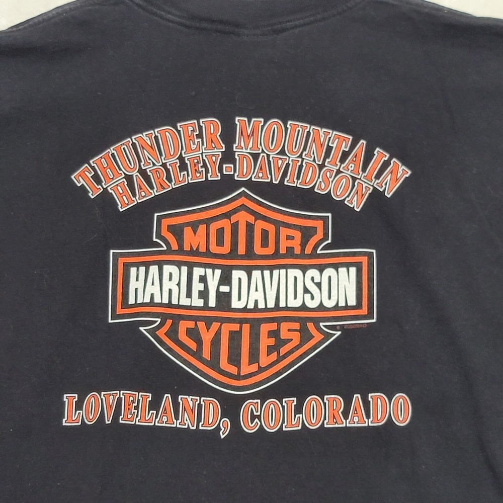 Harley-Davidson T-Shirt Men's Large Thunder Mountain Black I Got Mine USA - Picture 4 of 10